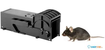 Eazyzap Live Capture Muizenval (2 Stuks) - Eazyzap DR219