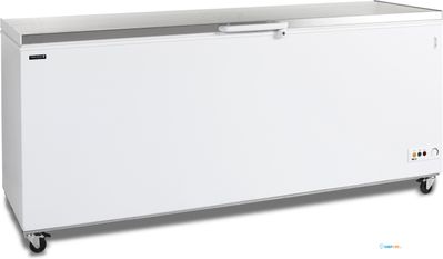 TEFCOLD Diepvrieskist - CF700S SL