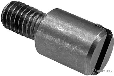 AP341 Buffalo deurschroef