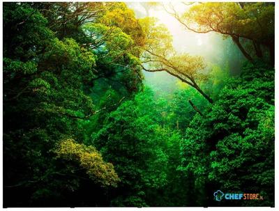 Syna Pop-Up Magnetic Straight met Soft Trolley 4 X 3 - PUM43S-ST