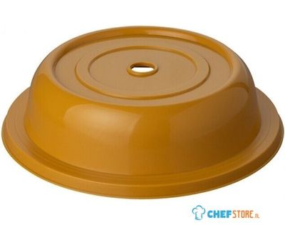 Bordendeksel Ø24,3Cm | 023018 1