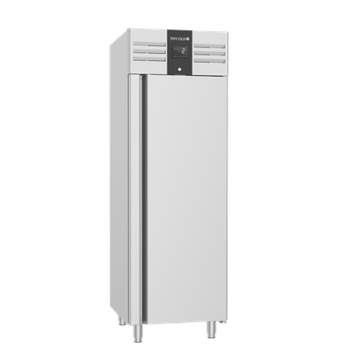 GN 2/1 BEWAARKAST - 1 DEURS VRIEZER - ECPG 801 BT