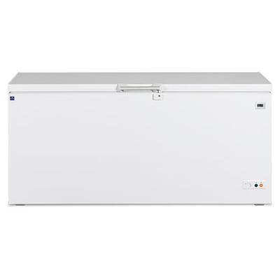 Mastro Diepvriezer (635 Liter) Met Vast Deksel, -24°C | Mastro | BGA0006/S | BGA0006/S 1