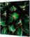 Syna Wanddecoratie Textiel SET 40 X 40 Cactus Groen - TFR22W400-SET-I820