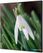 Syna Wanddecoratie Textiel SET 40 X 40 Witte Bloem Sneeuwklokje - TFR22W400-SET-I24