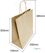 Fiesta Compostable HY766 Fiesta Recycleerbare Twist Handle Bruine Papieren Tassen Groot (250 stuks) 5