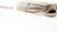 Gevuld kussen ecru voor crossback (bar)Stoel - 46x45x2cm (bxtxh) - 50100cshn - VEBA 50100CSHN 7