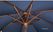 Bolero ronde donkerblauwe parasol 2,5 meter | GG496 3