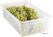 Cambro polypropylene GN 1/1 bak 150mm | DW501 2