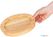 Olympia licht houten onderzetter 21cm | GJ555 5