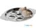 Slakkenschaal Ø19Cm | 815037 3