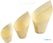 Sier Disposables Beker Hout "schuin" 5cl. (FSC®) ø32 X H75/35mm (doos 50) - HZ704 3