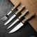 Olympia jumbo steakmes met houten heft 25cm | GG819 5